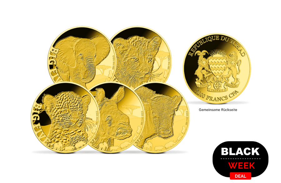 5er Baby-Set Big Five Afrika  Löwe, Elefant, Büffel, Rhinozeros, Leopard 