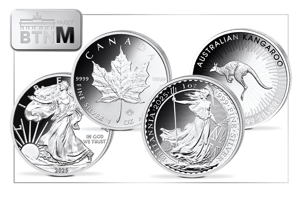Silber-Investmentpaket M