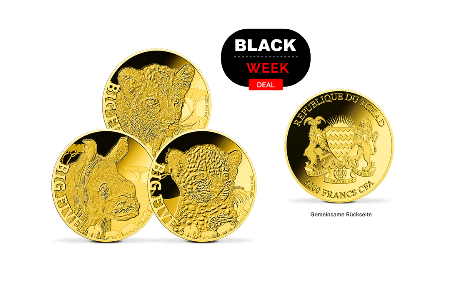 3er Baby-Set Big Five Afrika  Leopard, Löwe, Rhinozeros