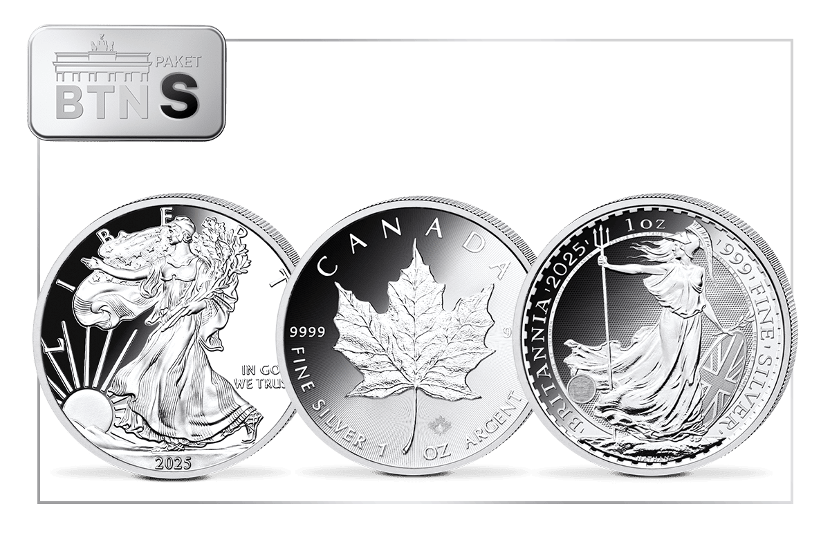 Silber-Investmentpaket S