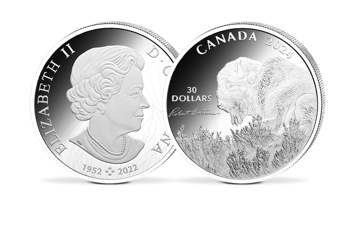 30-Dollar-Silbermünze Kanada – Bison