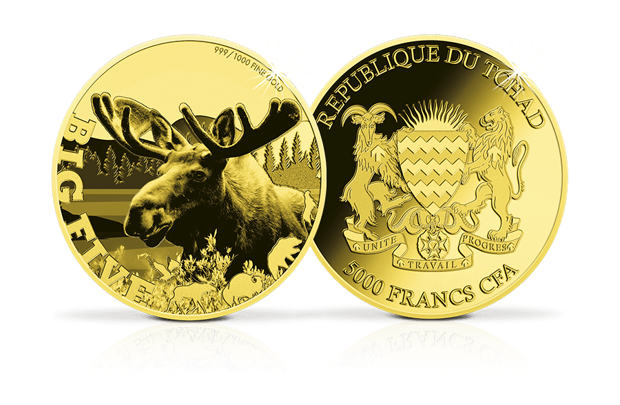 Goldmünze Elch - Big Five