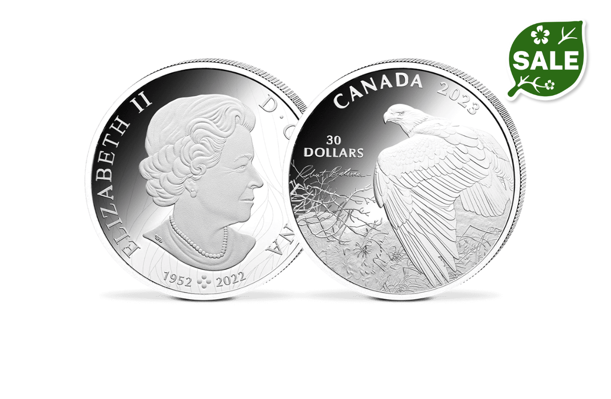 30-Dollar-Silbermünze Kanada – Weißkopfseeadler