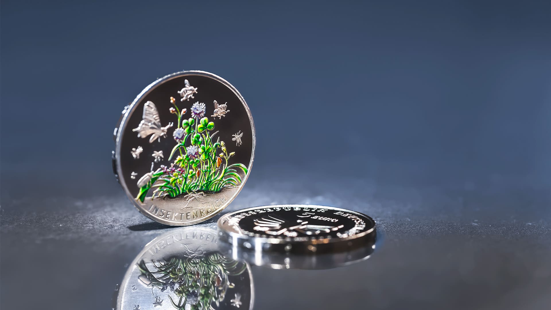 Nahaufnahme von der 5-Euro-Münze Insektenreich aus dem Jahr 2022 auf einem dunklen Hintergrund Nahaufnahme von der 5-Euro-Münze Insektenreich aus dem Jahr 2022 auf einem dunklen Hintergrund