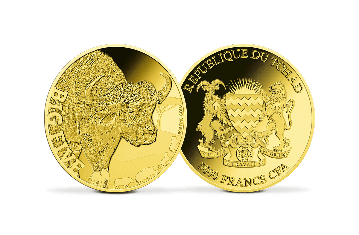 Giganten-Goldmünze Big Five Büffel