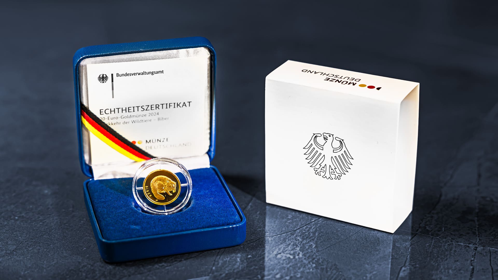 Goldmünze Biber, welche in einer Kapsel verpackt ist, steht in einer offenen Schatulle, die außerdem ein Echtheitszertifikat im Deckel zeigt Goldmünze Biber, welche in einer Kapsel verpackt ist, steht in einer offenen Schatulle, die außerdem ein Echtheitszertifikat im Deckel zeigt
