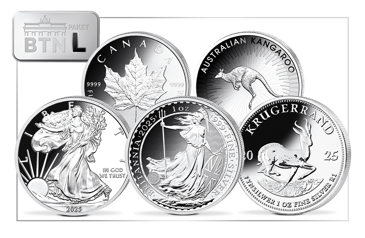 Silber-Investmentpaket L