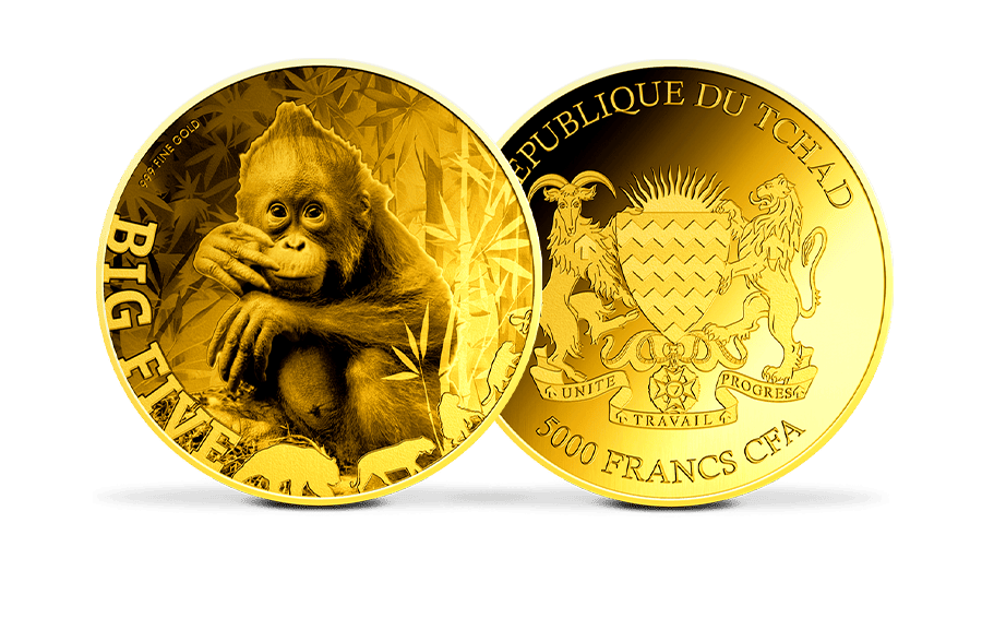 Giganten-Goldmünze Big Five Orang Utan Baby