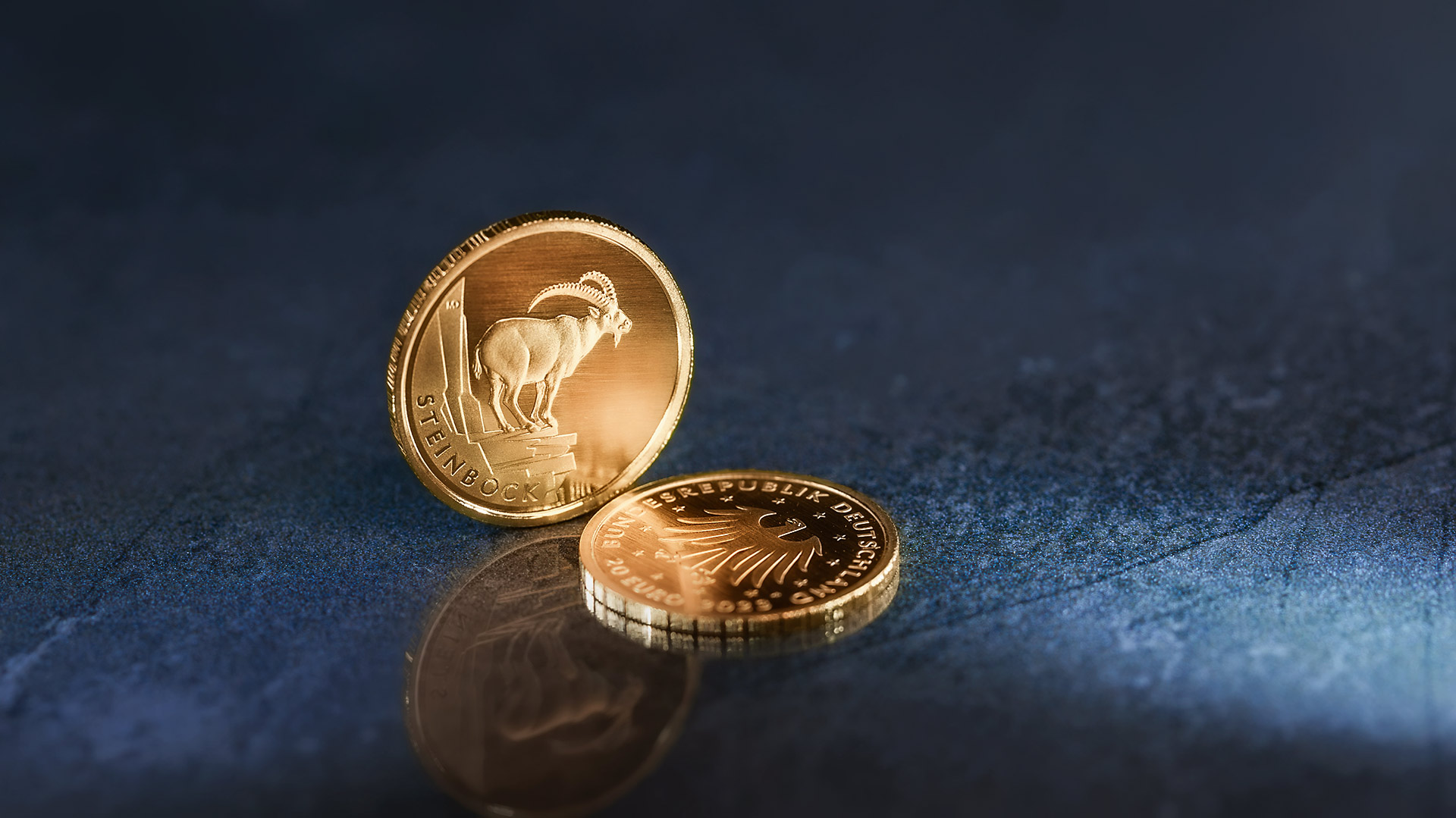 Die 20-Euro-Goldmünze Steinbock steht vor blau-grauen Hintergrund Die 20-Euro-Goldmünze Steinbock steht vor blau-grauen Hintergrund
