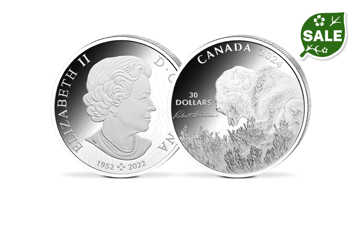 30-Dollar-Silbermünze Kanada – Bison