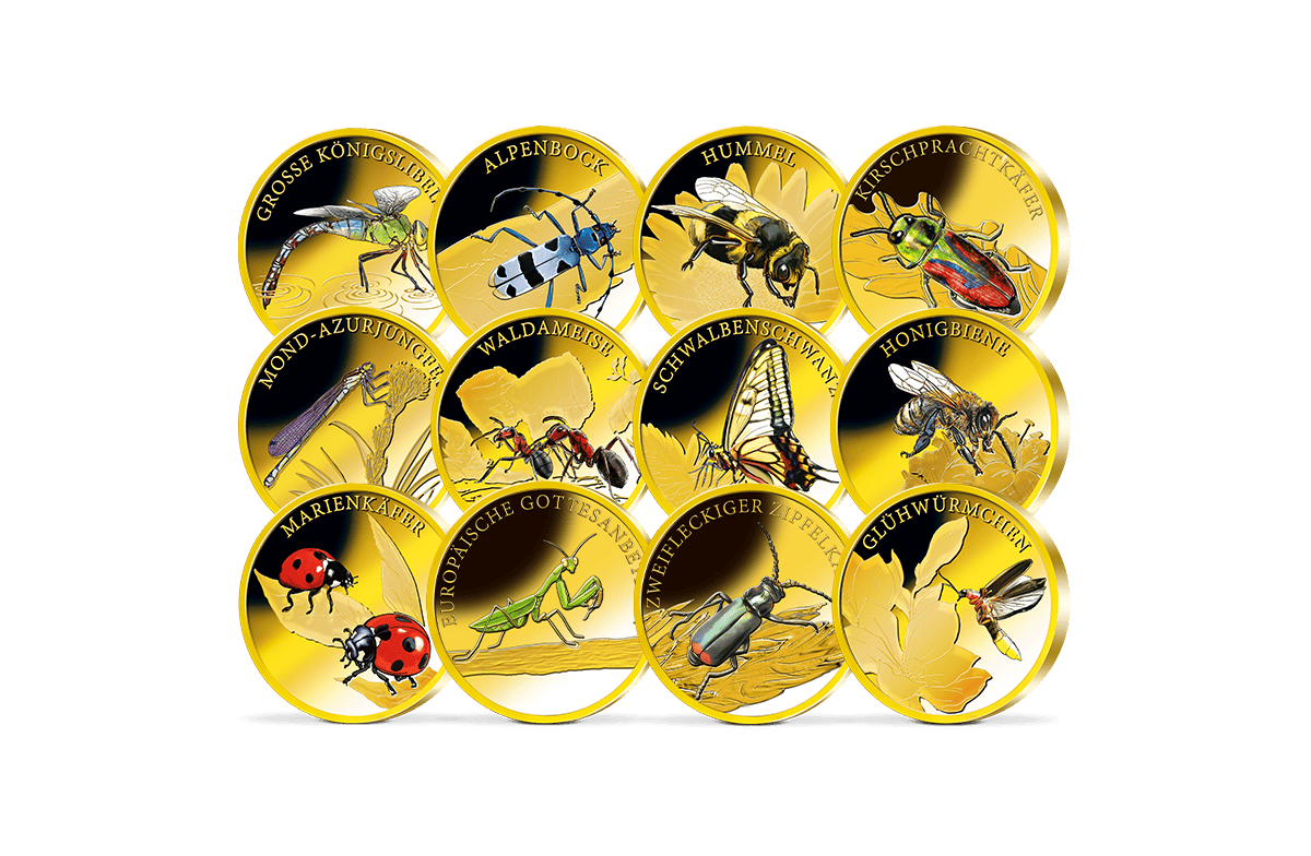 Premium-Set Insektenwelt Deutschlands