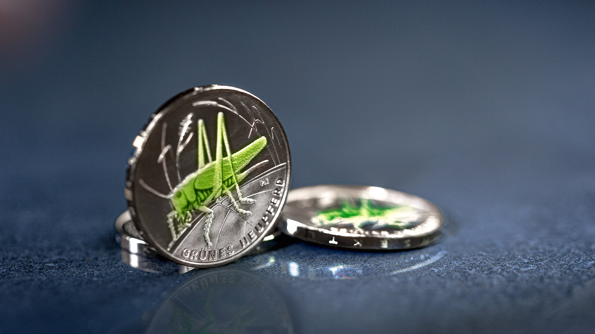 Die 5-Euro-Münze Grünes Heupferd steht vor blau-grauem Hintergrund Die 5-Euro-Münze Grünes Heupferd steht vor blau-grauem Hintergrund